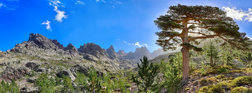Les plus belles randonnées en Corse