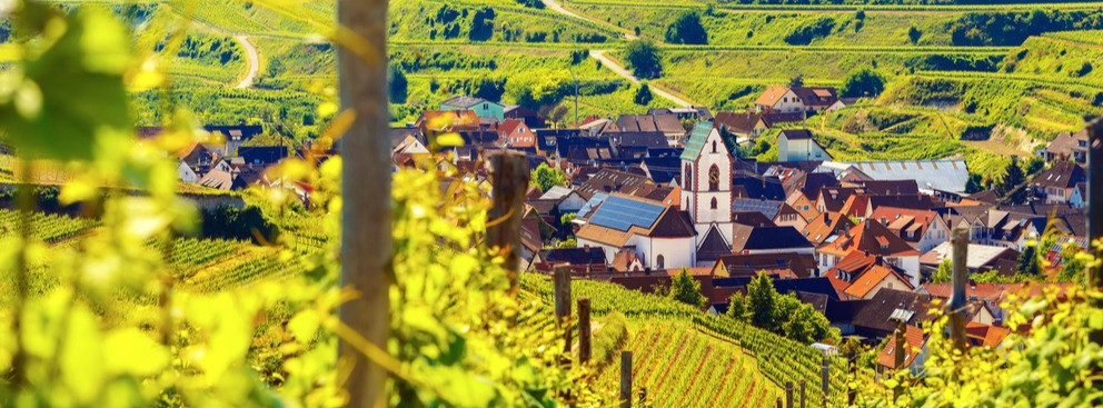 région viticole allemagne