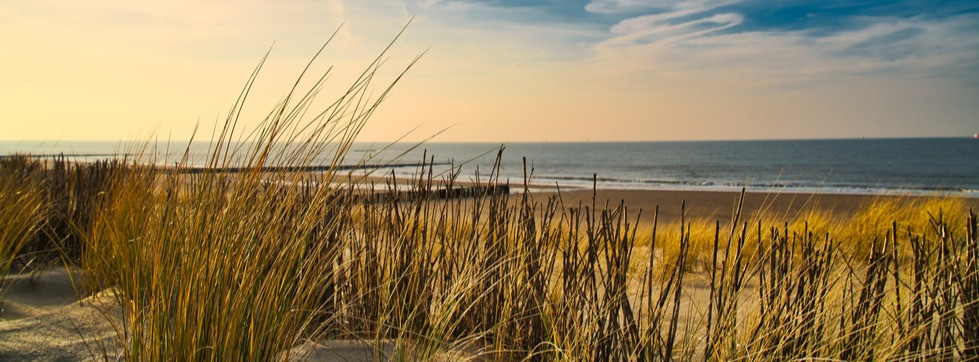 plage pays bas