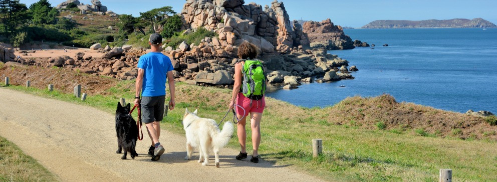 vacances avec son chien en france : balade mer