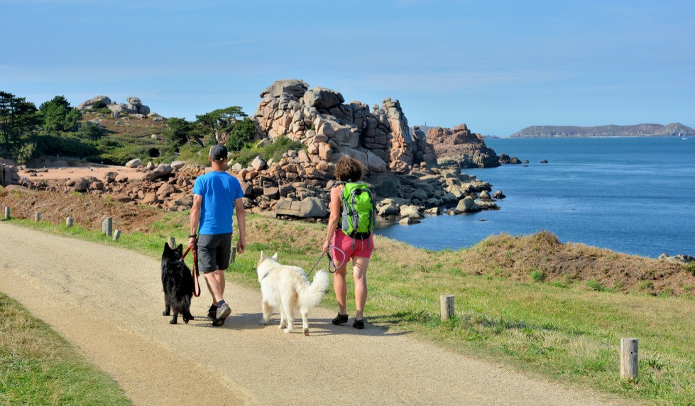 vacances avec son chien en france : balade mer