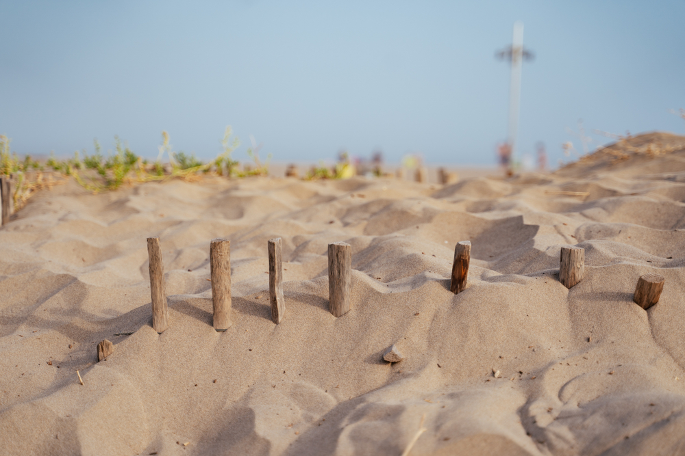 Dune de sable à Valras