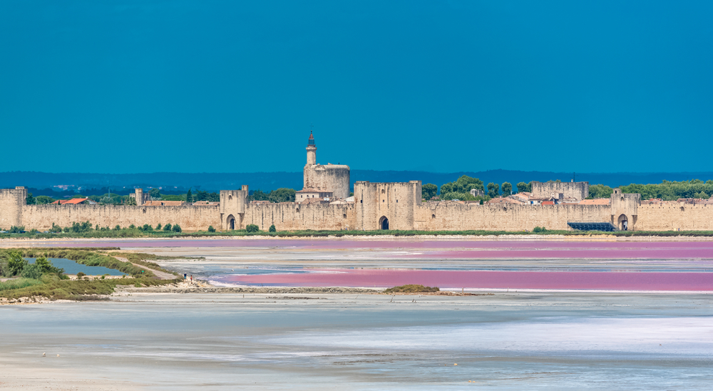 Aigues Mortes et ses marais