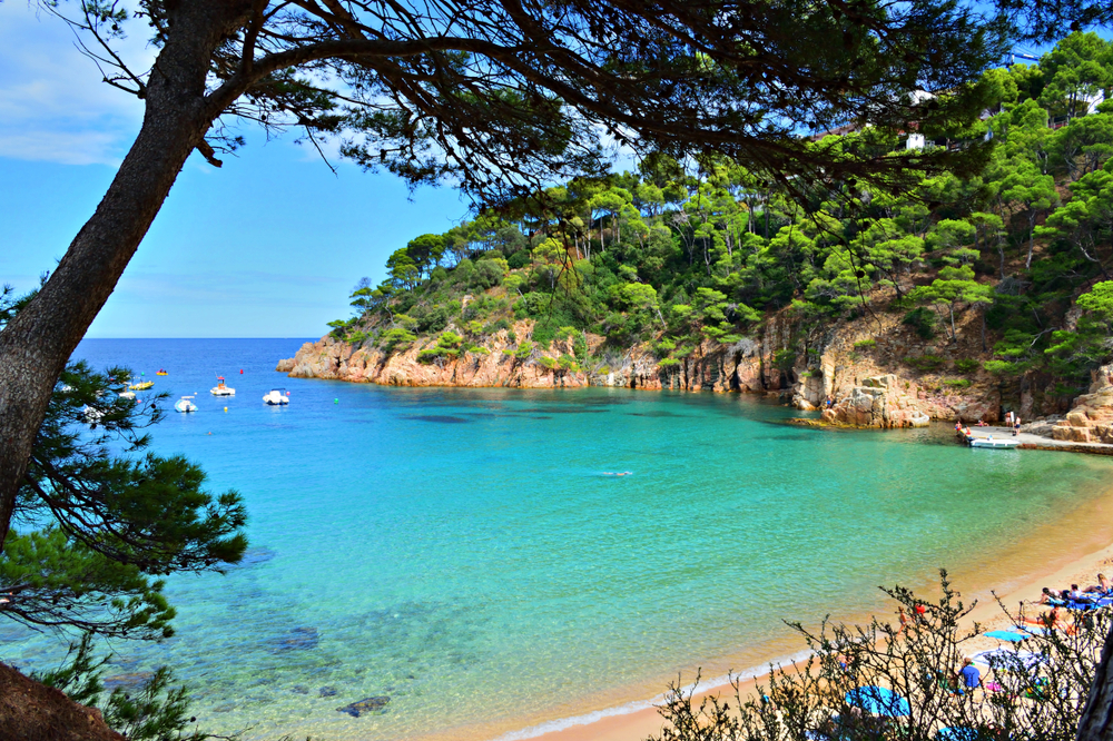 Plage costa brava : Cala Aiguablava