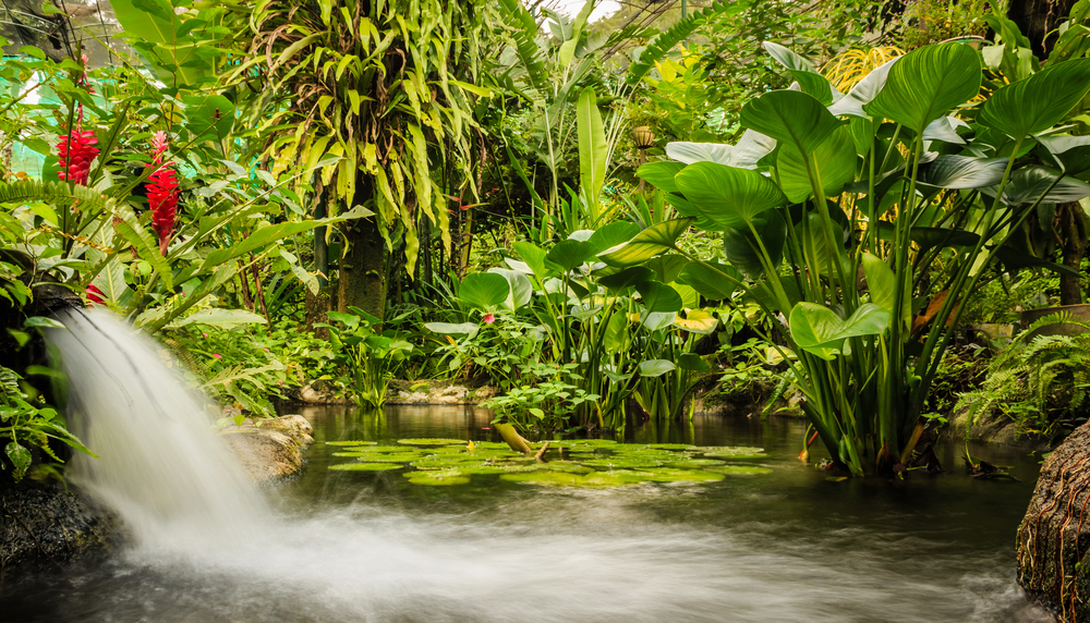 Le parc à papillons, Empuriabrava