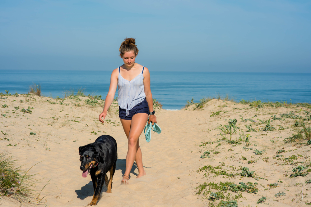 Balade sur la dune du Pilat