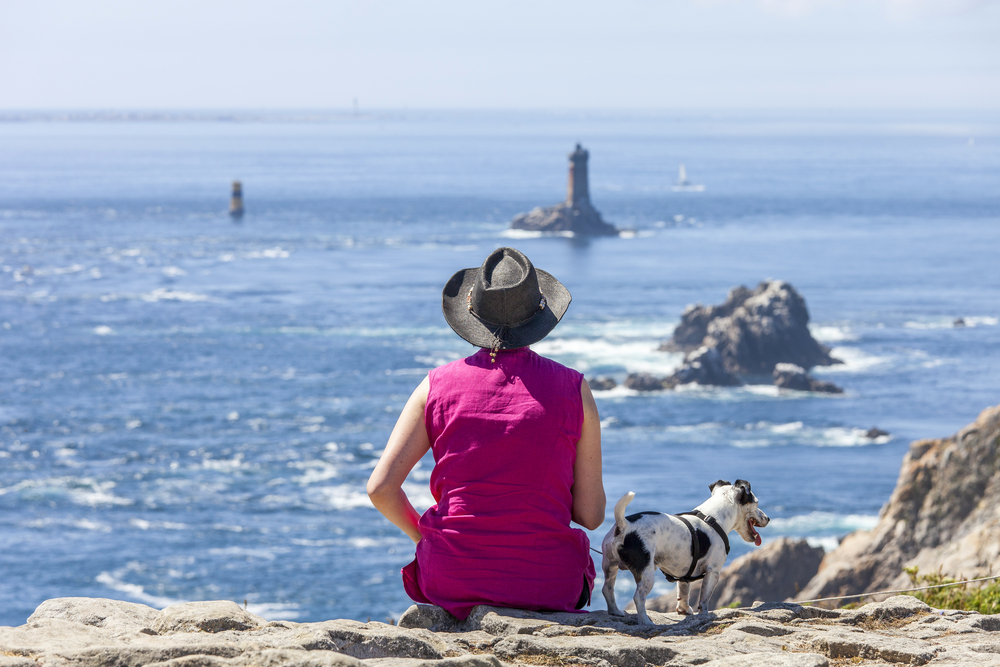 Chien en balade à la Pointe du Raz