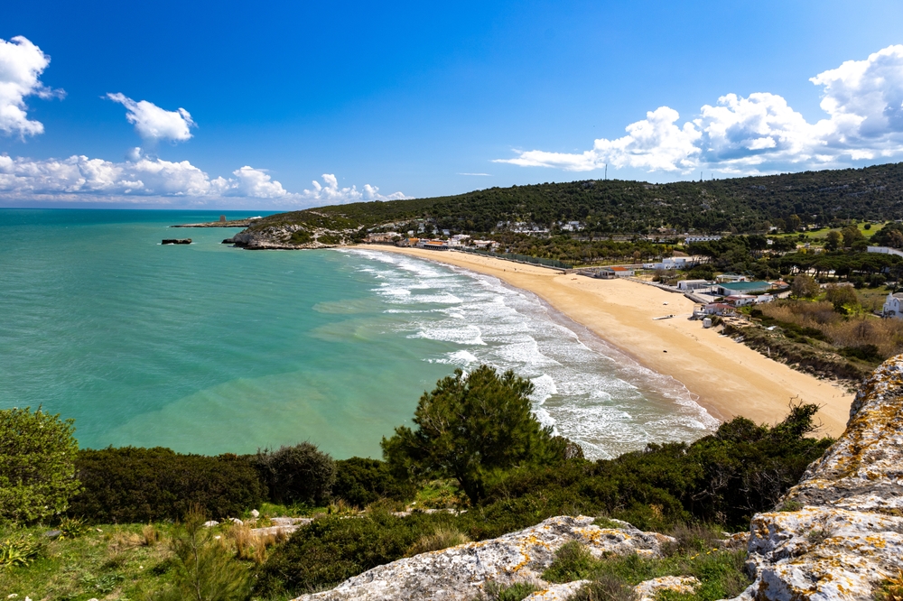 gargano manaccora