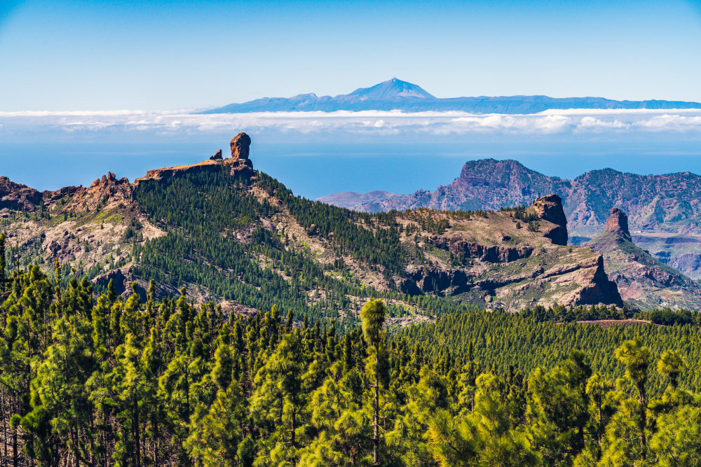 randonnée gran canaria : roque nublo