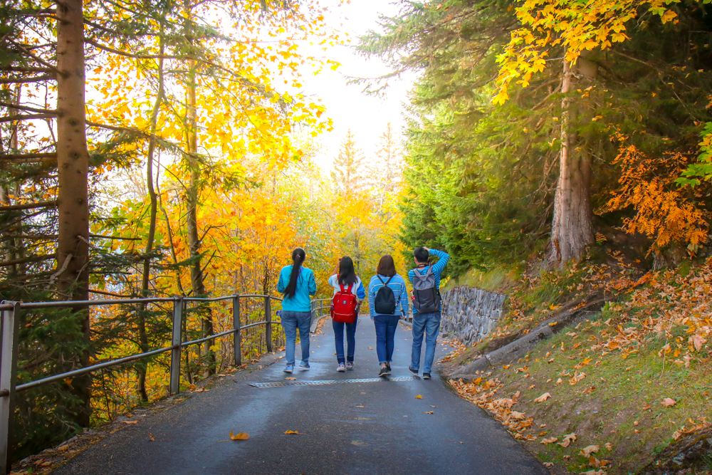 randonnée oberland : Marche vers Beatenberg sous les couleurs d'automne