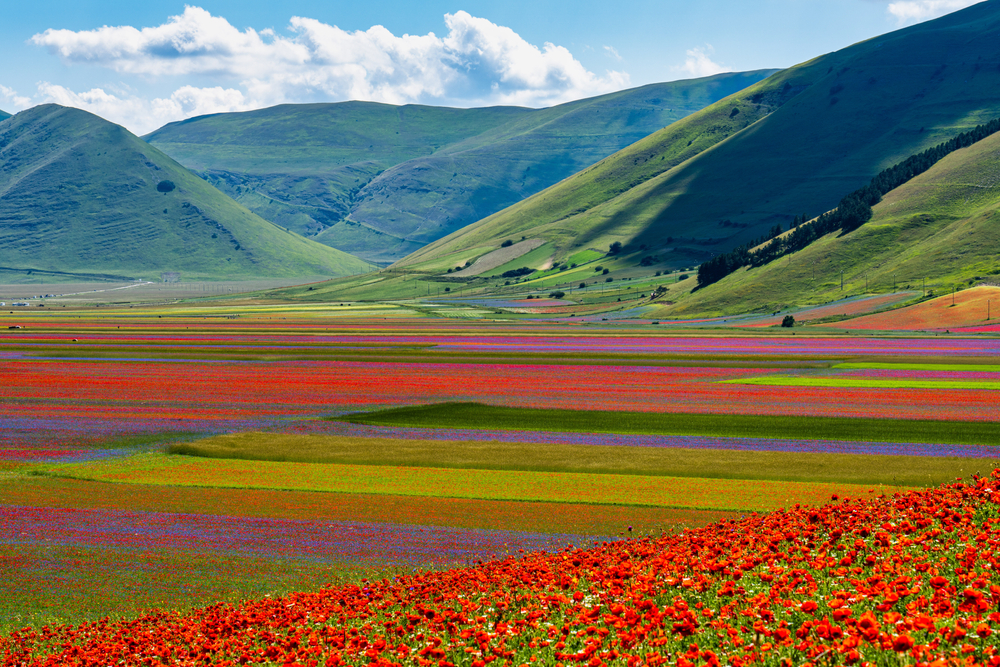 plus belles villes italie : Castelluccio