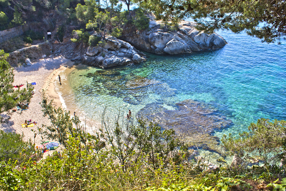 Cala del Pi pres de Sant Feliu de Guixols