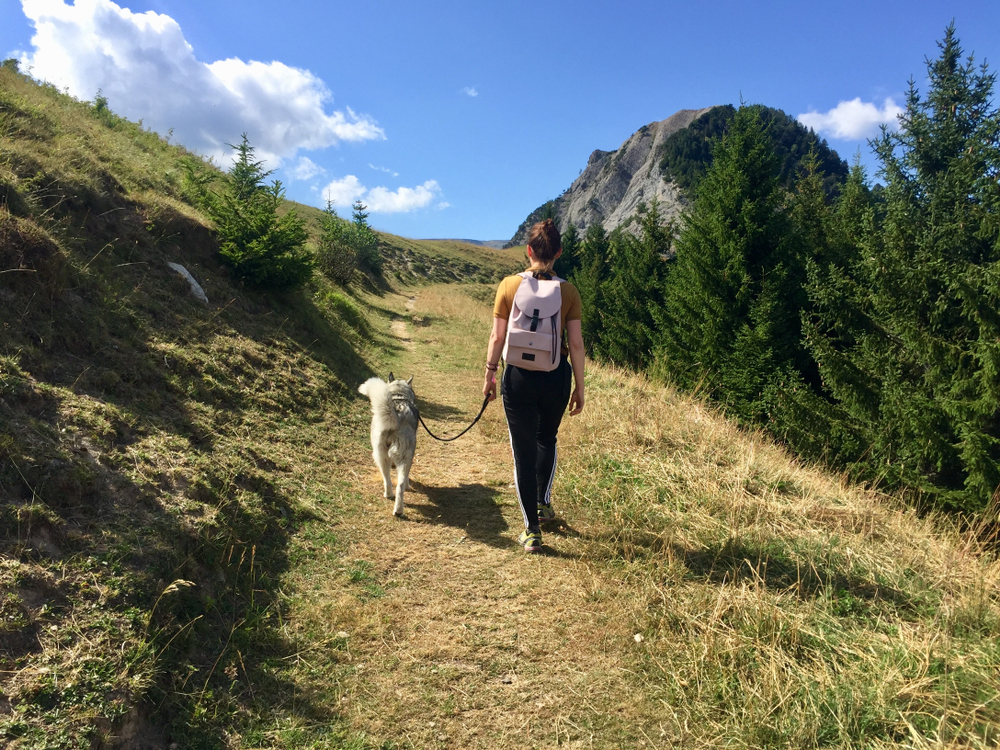 randonnée avec chien alpes françaises : le tour des Ecrins