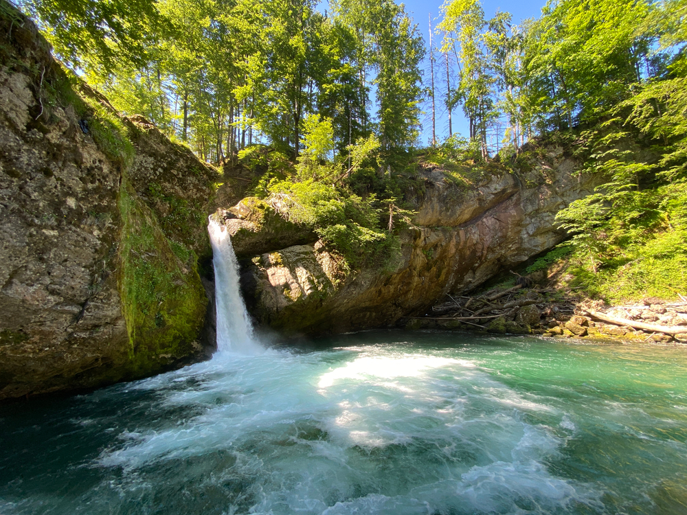 Rivière de la Thur