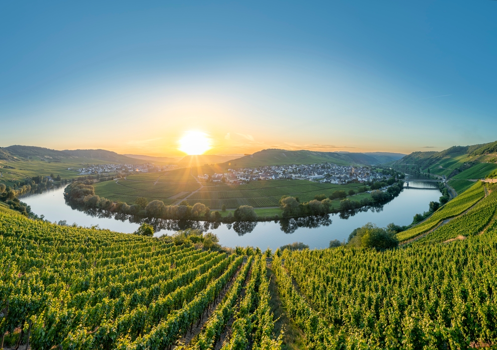 Vignobles sur l'une des célèbres boucles de la Moselle