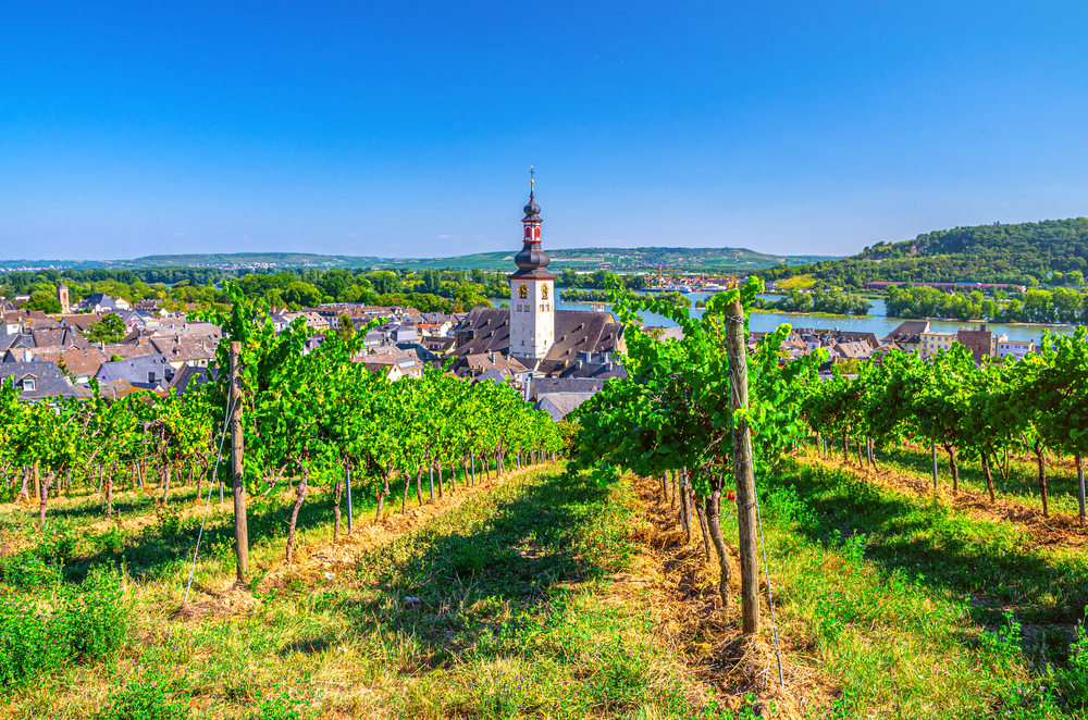 Ville de Rüdesheim dans le Rheingau